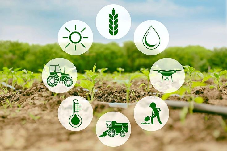Especialidad en Dirección de Empresas Agropecuarias