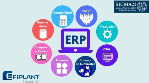 Gestión organizacional con tecnologías ERP