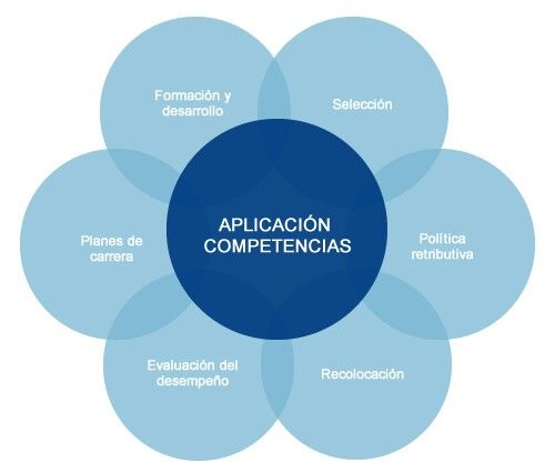 Evaluación de competencias directivas para la informatización