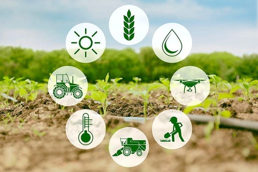 Especialidad en Dirección de Empresas Agropecuarias